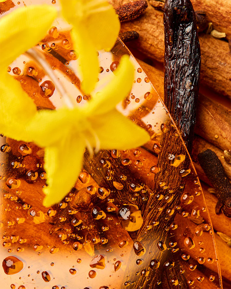 Anise Vanille & Cassia Spice™ fragrance oil - Image 2
