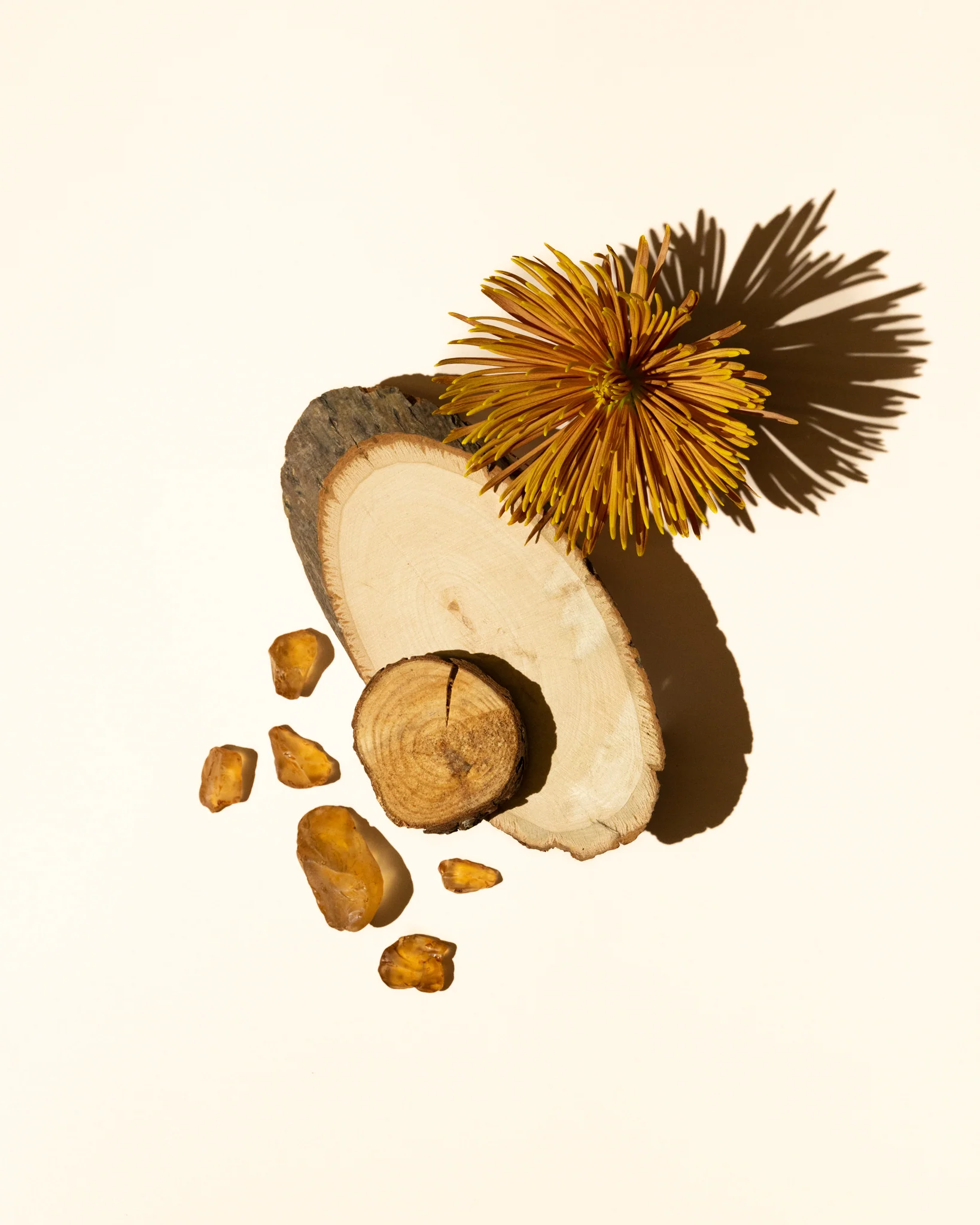 cedar amber fragrance oil accord