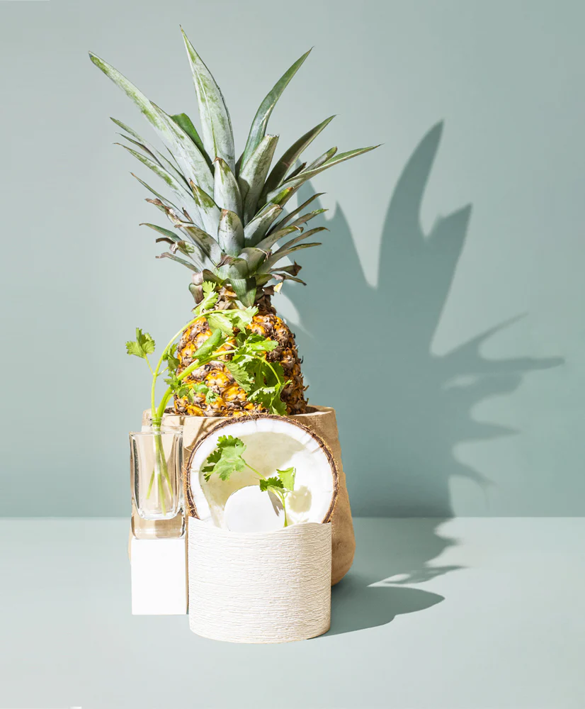 cilantro & dark coconut™ fragrance oil