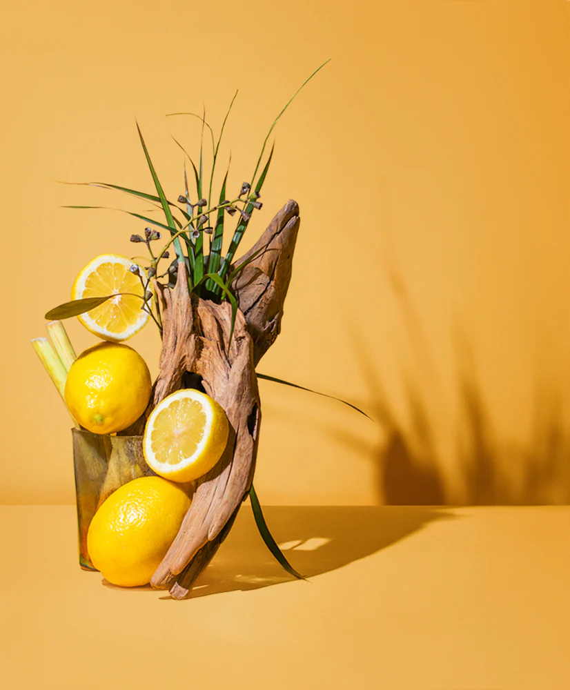citronella & camphor™ natural fragrance oil