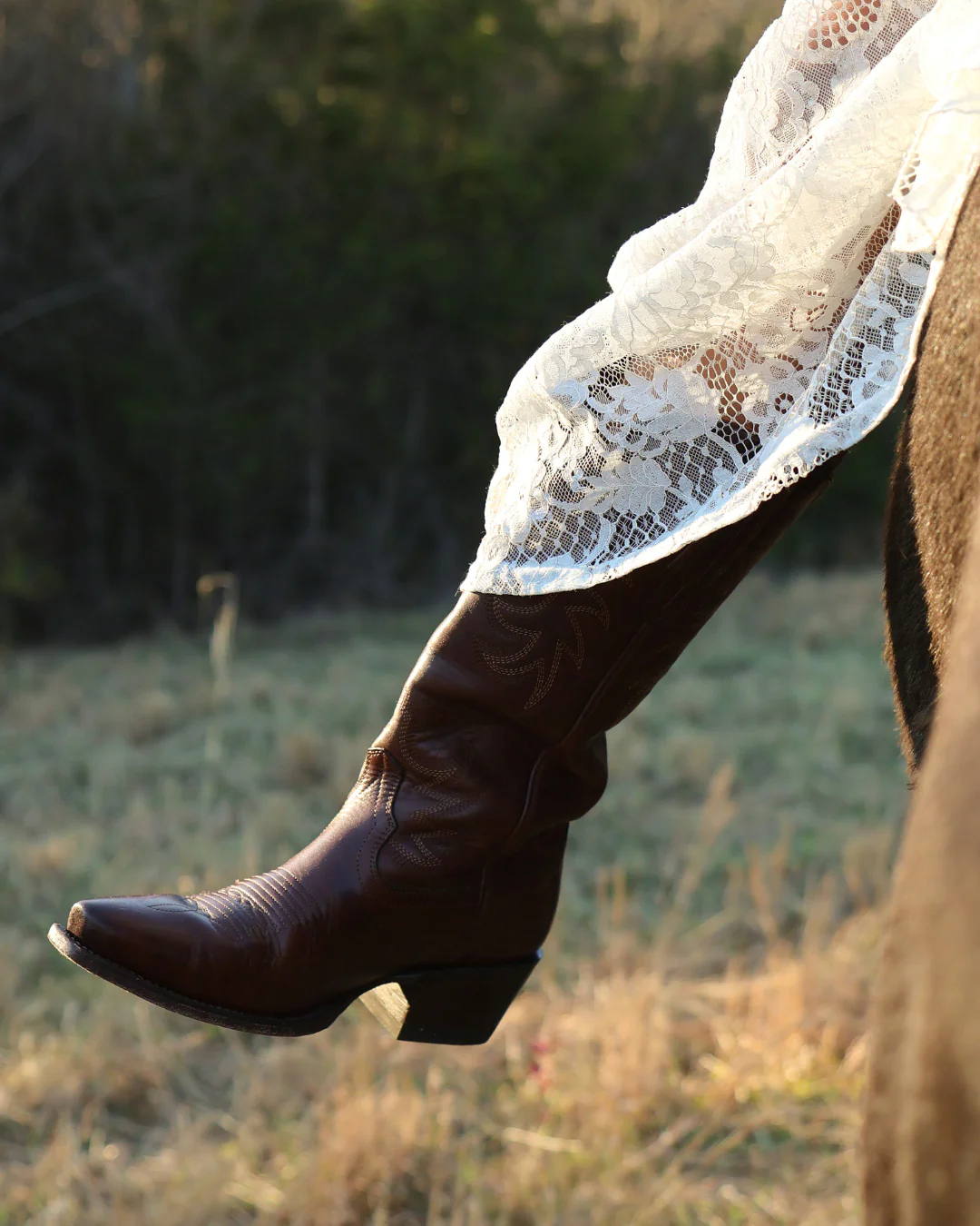 cowgirl kiss & sugar bliss™ fragrance oil - Image 2