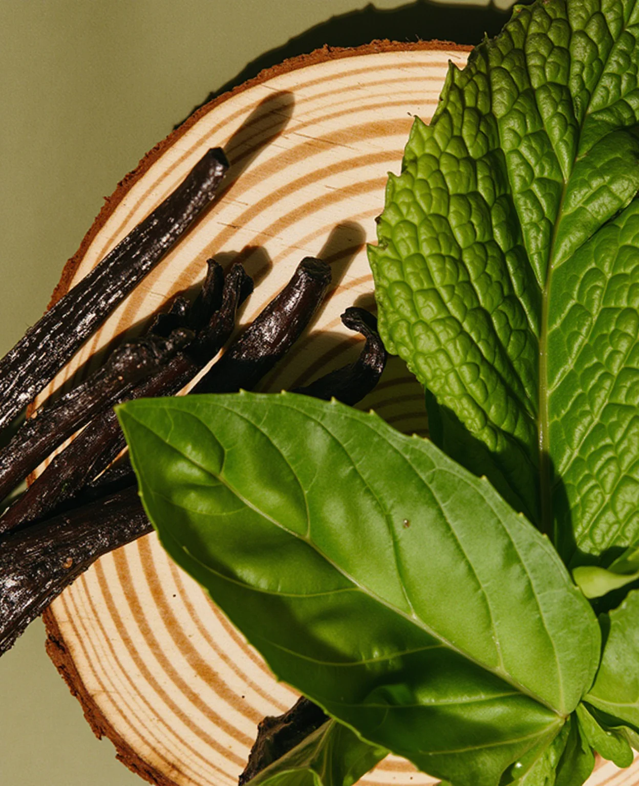 cypress embrace & minted grove™ fragrance oil - Image 2