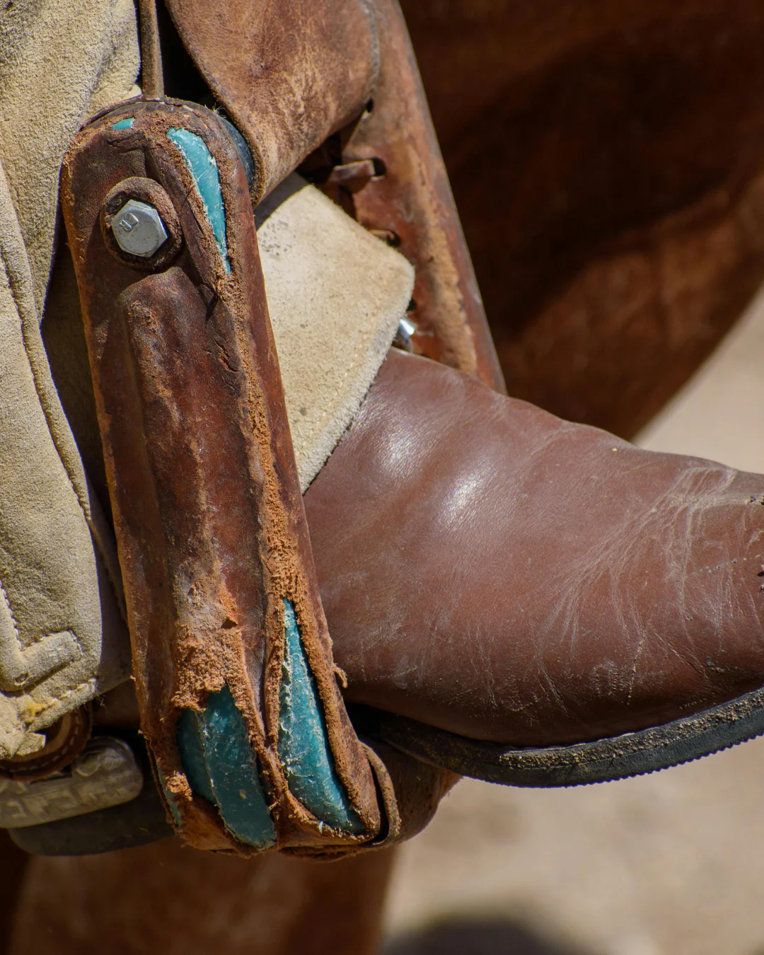 daisy dukes & cowboy boots™ fragrance oil - Image 2