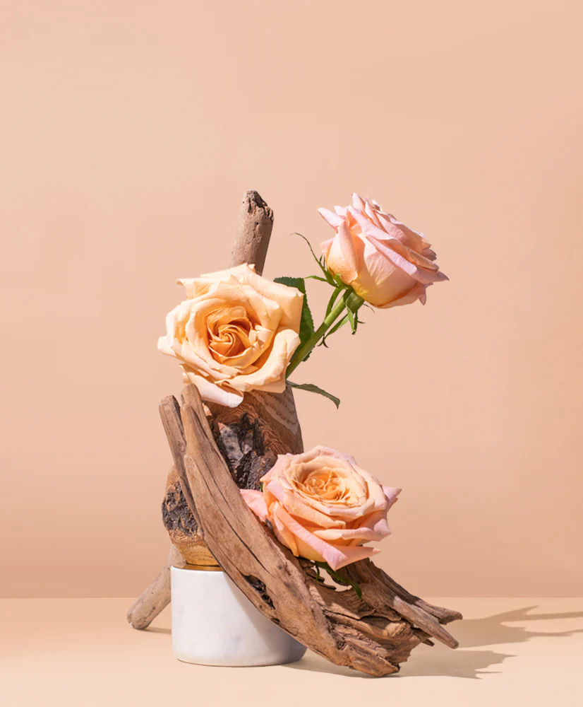 damascena rose & oud™ fragrance oil