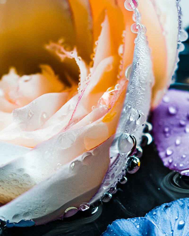 dark petals & amber dusk™ fragrance oil - Image 2