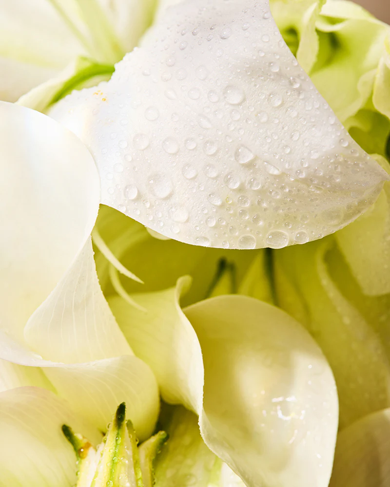 essence of lily fragrance oil - Image 2