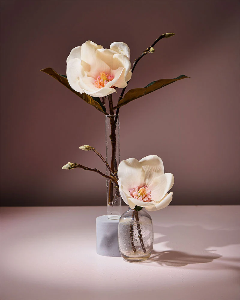 essence of magnolia fragrance oil