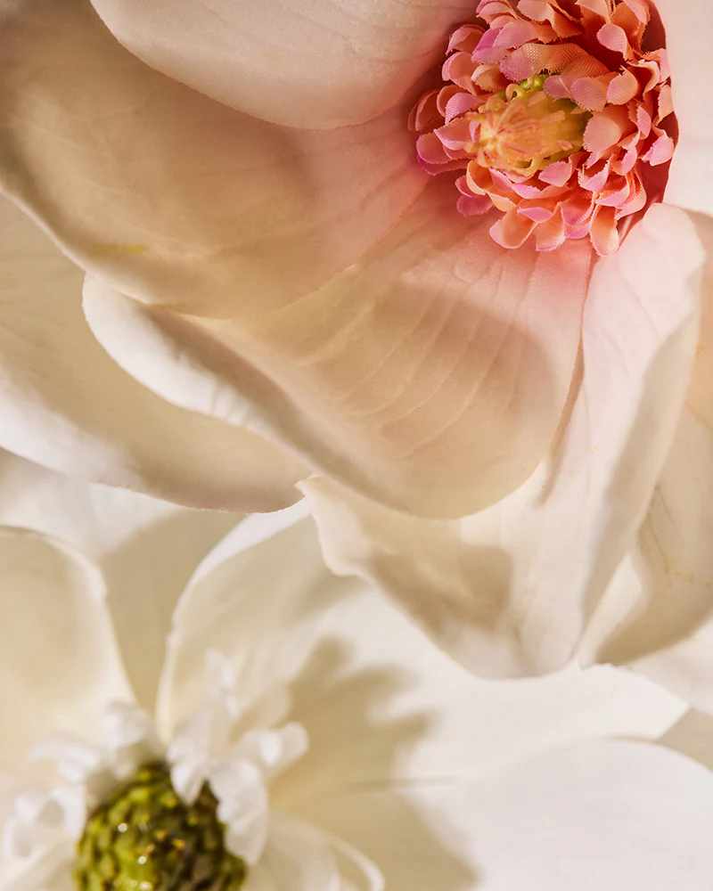 essence of magnolia fragrance oil - Image 2