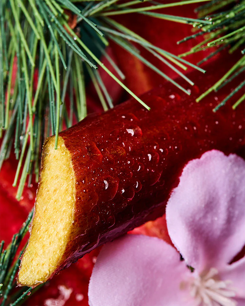 Frasier Fir & Rhubarb Radiance™ fragrance oil - Image 2