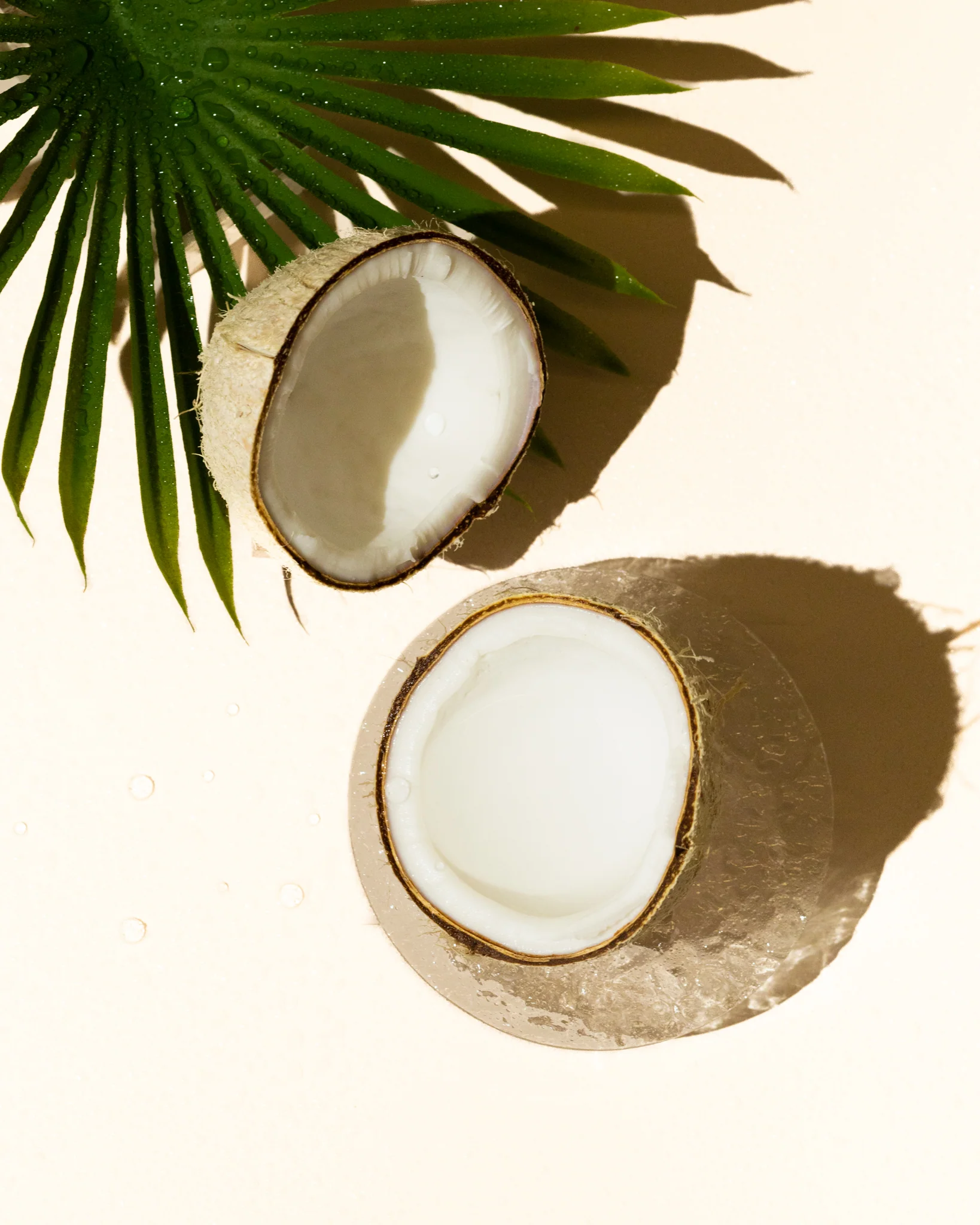 fresh coconut fragrance oil accord