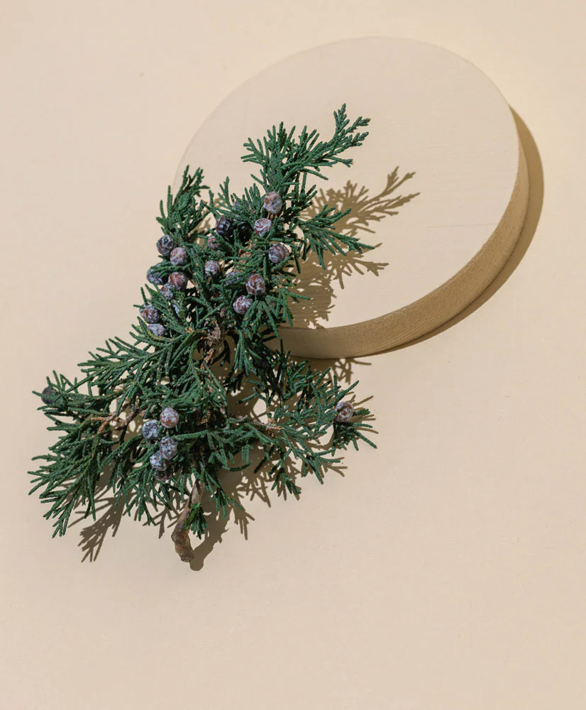 juniper sprigs
