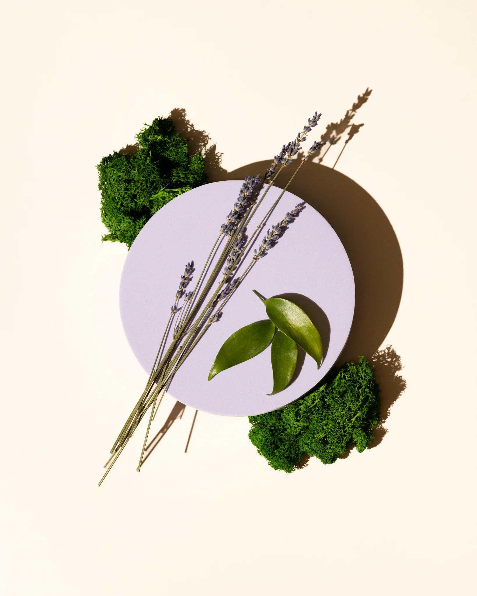 lavender moss fragrance oil accord
