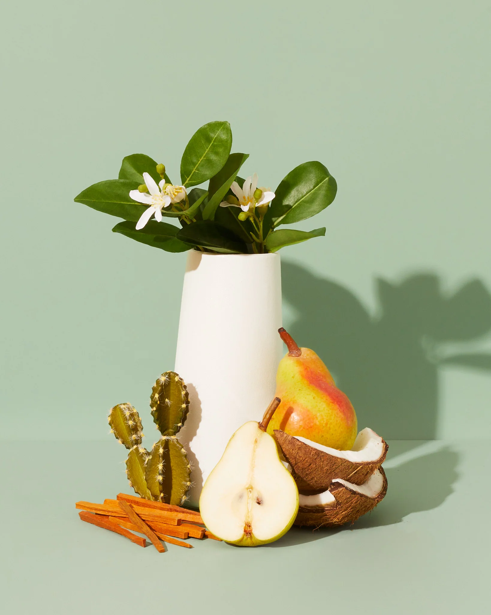prickly pear & maypan coconut™ fragrance oil