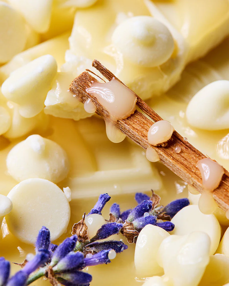 Sandalwood & Cacao Blanc™ fragrance oil - Image 2