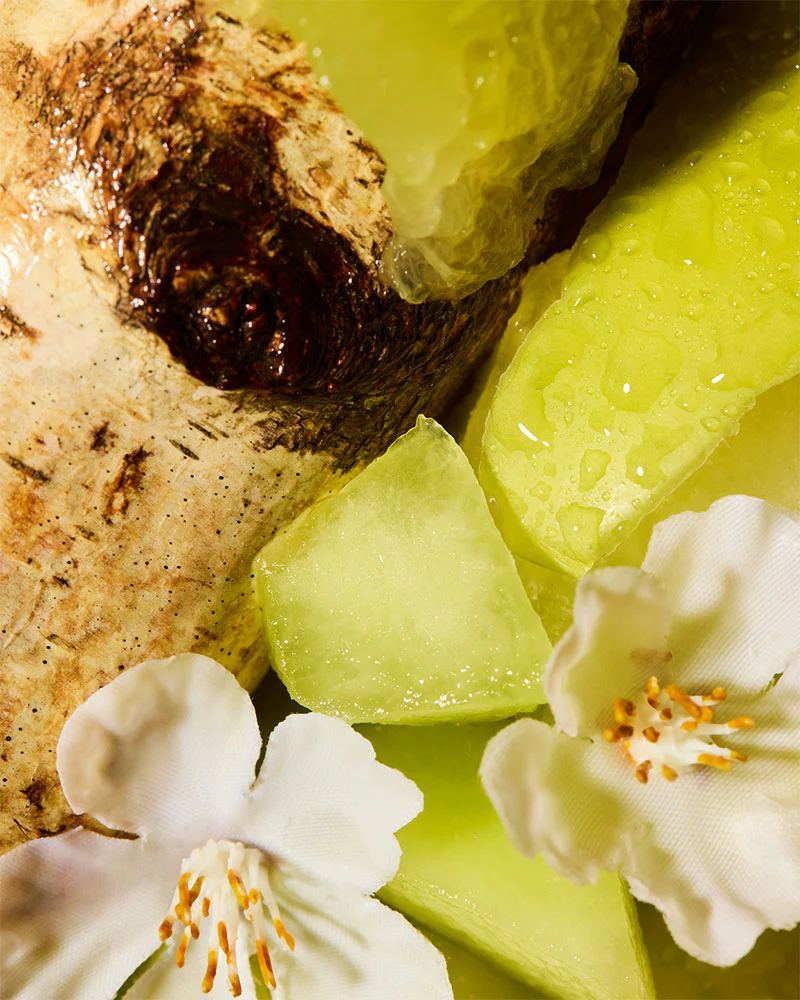 seaside spray & driftwood bay™ fragrance oil - Image 2