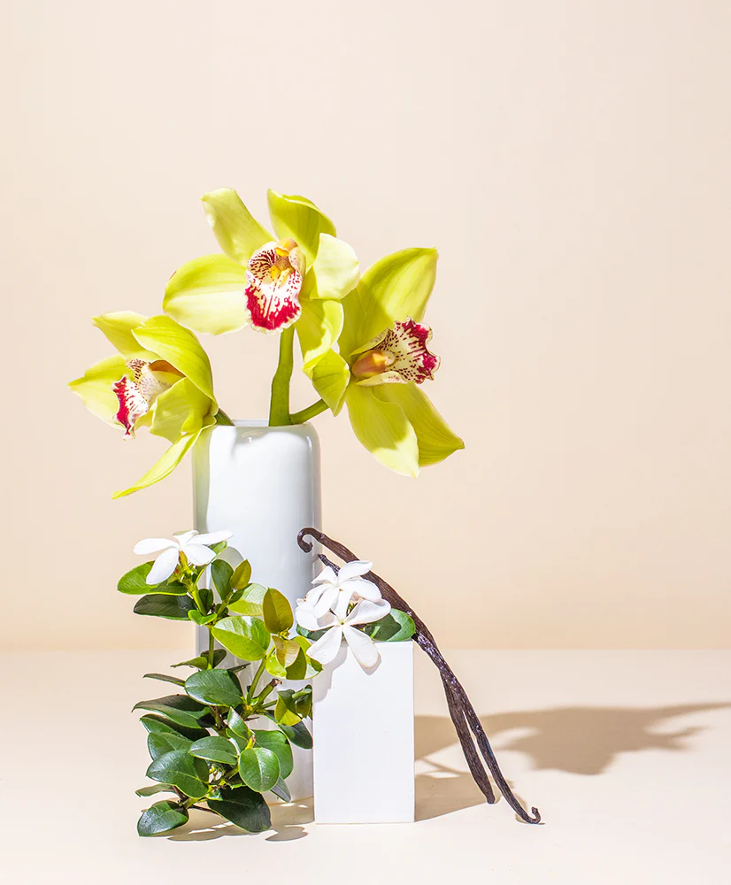 sheer vanilla & orchid™ fragrance oil