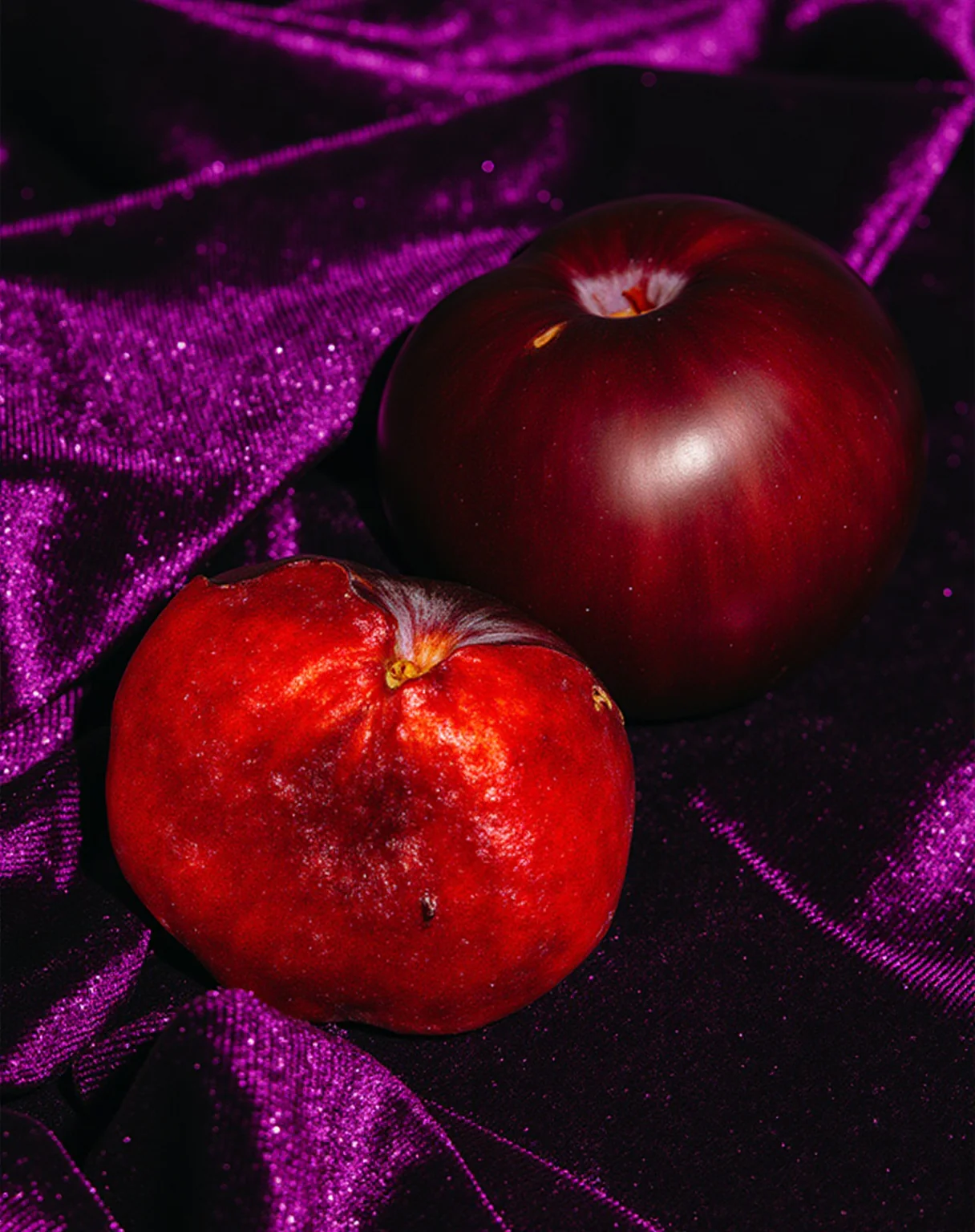 sugar plum & velvet dream™ fragrance oil - Image 2