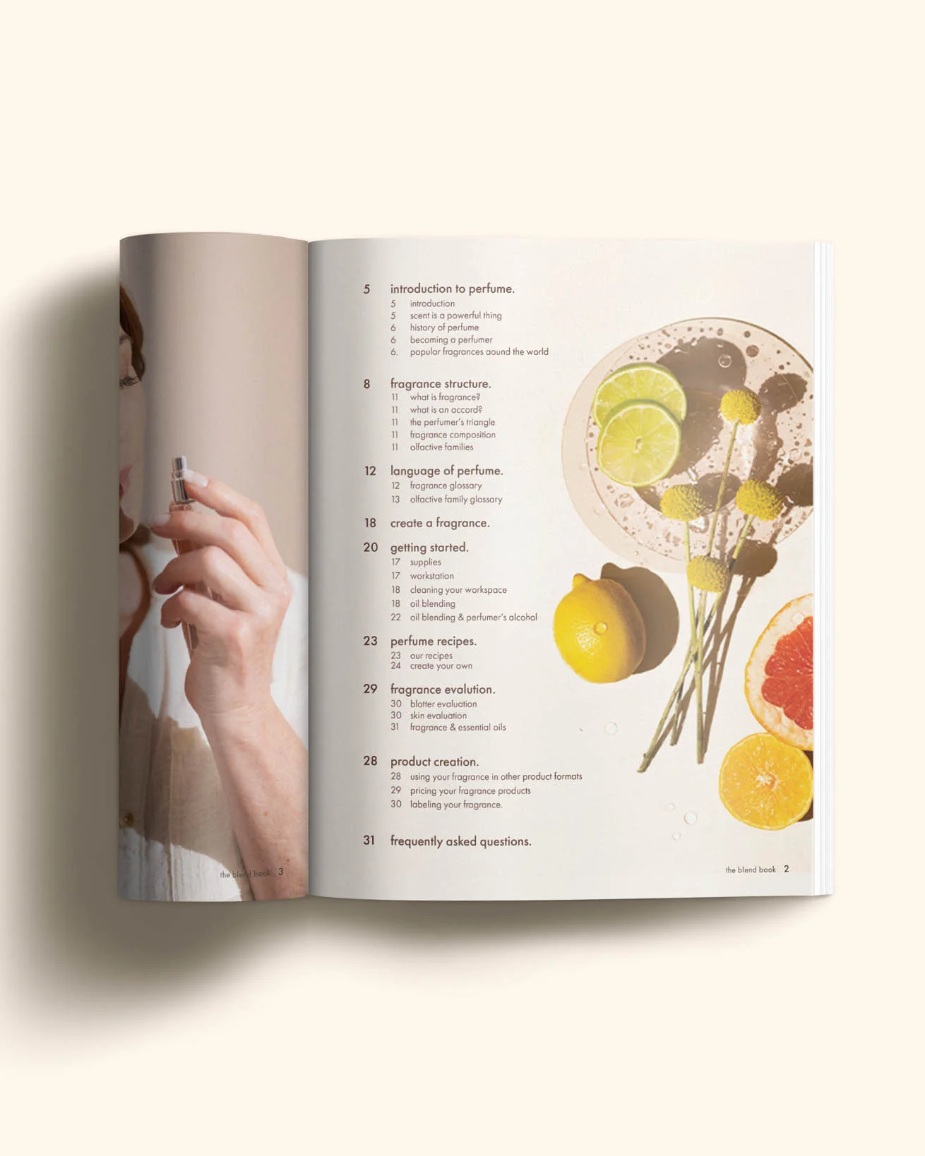 the blend book (digital) - Image 2