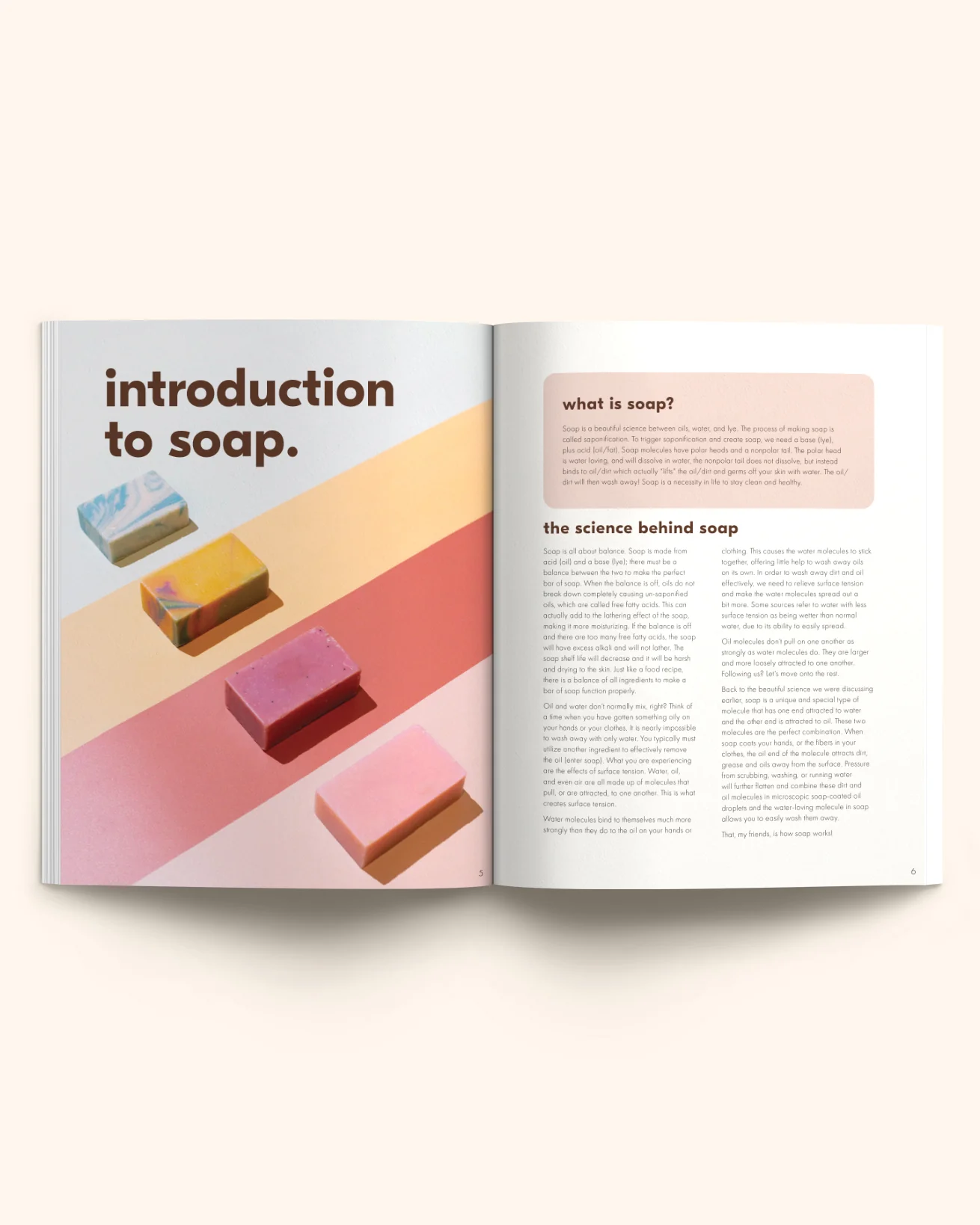 the bubble book - Image 3
